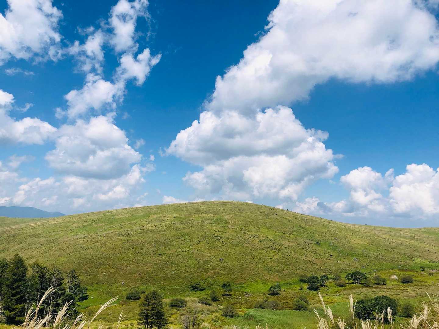 さっきまでいた蝶々深山