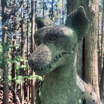 地元の方としばし会話、色々教えて頂く

両神山と同じように狼信仰の地らしい