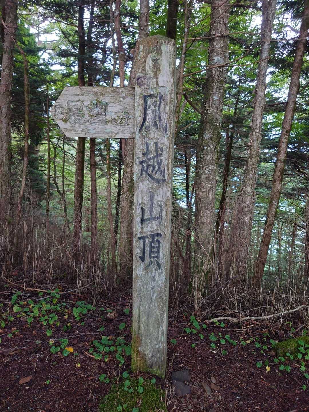 風越山登山口-風越山 往復コースの写真