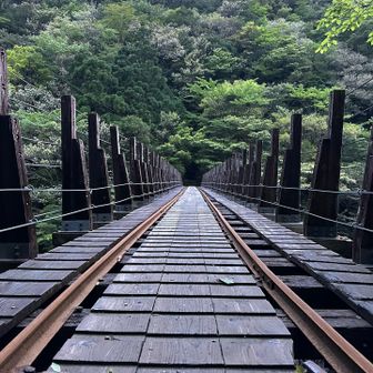 先頭だったので前には誰もいない