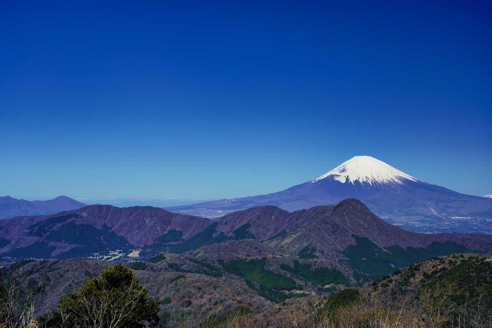 矢倉沢峠-明神ヶ岳 往復コースの写真