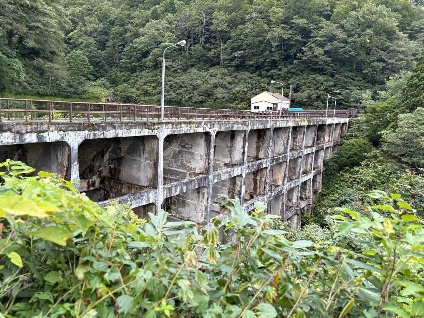 調整池(ダム)まで上がって来ました。
この池の水は、導水管を通って、標高約400m下まで落とされます。
1929年に完成したバットレスダムという特殊工法のダムで、いまや土木遺産とされています。
バットレスダムとは、この網目状のコンクリート構造で水圧に耐える構造のダムだそうです。全国に6ヶ所しか現存しません。