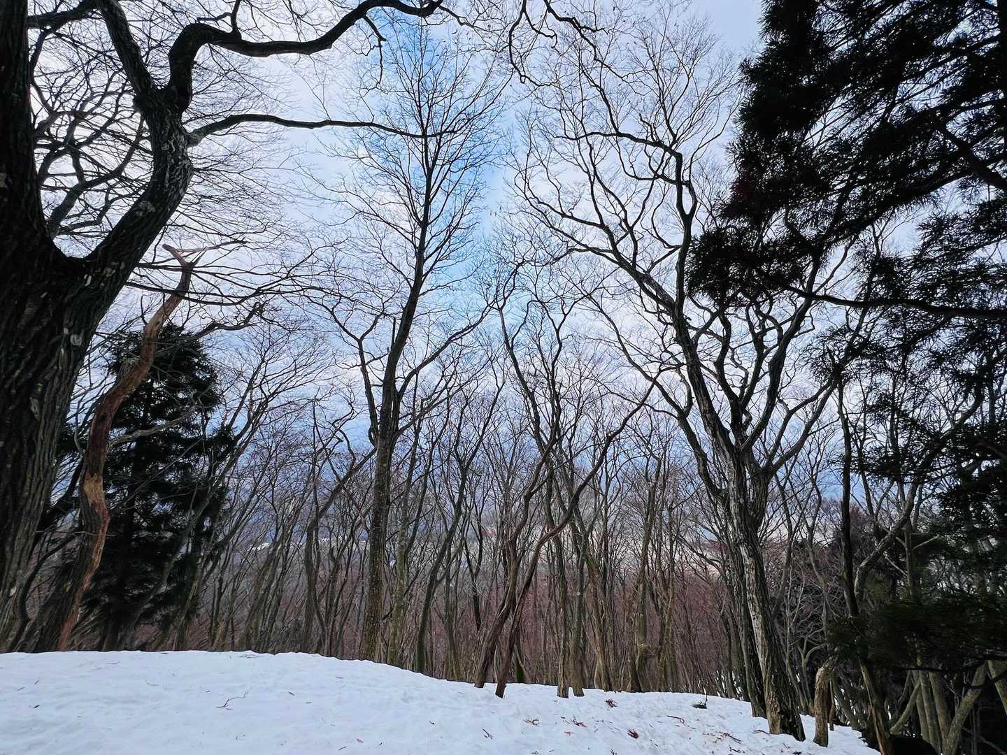 
              今日一番の水色の空でした…🩵‪