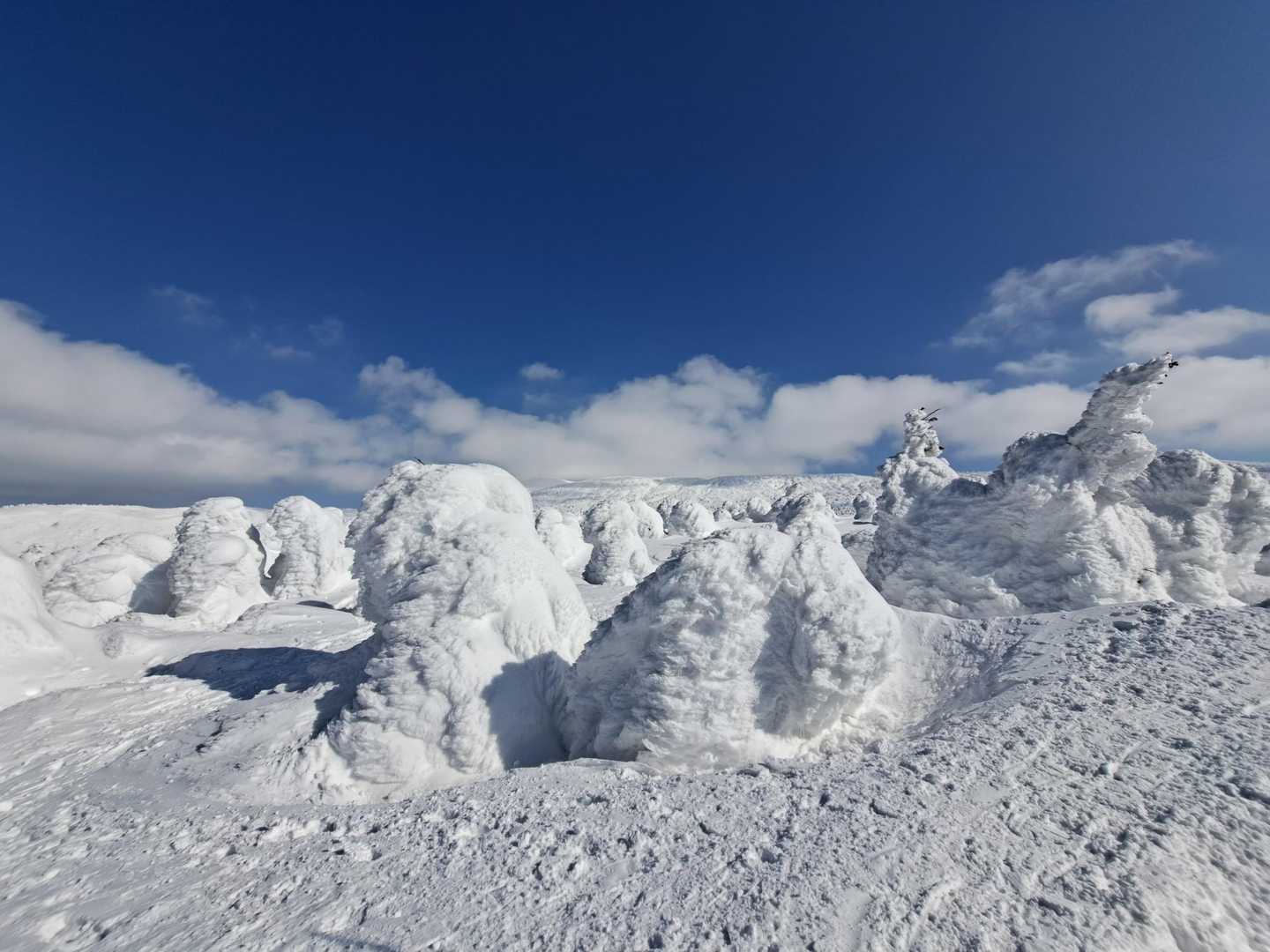 蔵王ライザワールド-仙人沢コース登山口-刈田岳 往復コースの写真