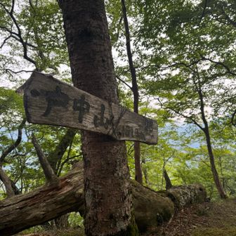 戸中山🙌