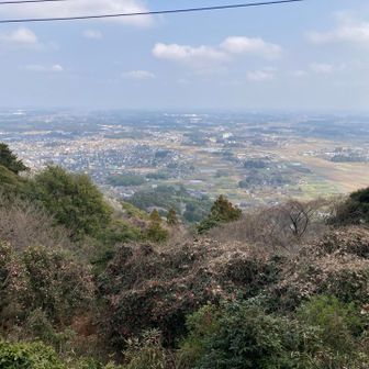 愛宕神社前から見た東方面