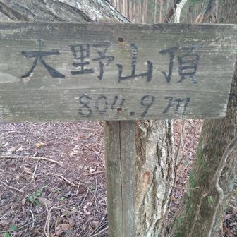 大野山山頂