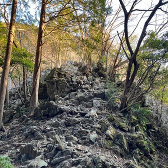 ある程度登ると岩場が出てくる