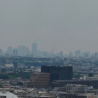 展望台から東京タワーが良く見える。