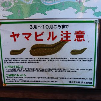 この季節は安心。