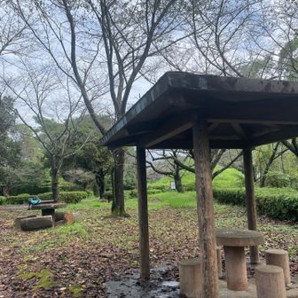 今日はボランティア活動後に山に行きました