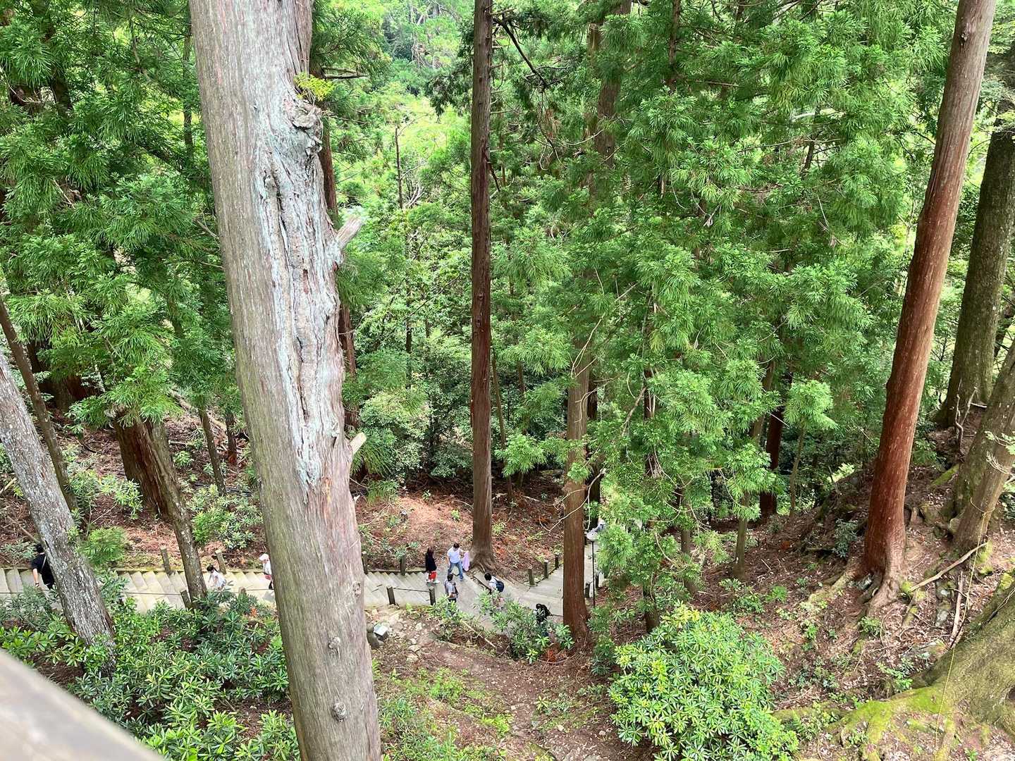 まあまあ登ってきたよ