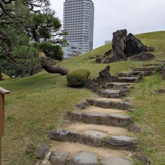 大山
根府川山は工事中で近づけず