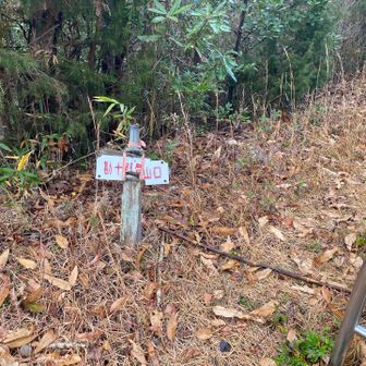 K『いきなり山ですね！』
イヤ、まだ登ってないから…。