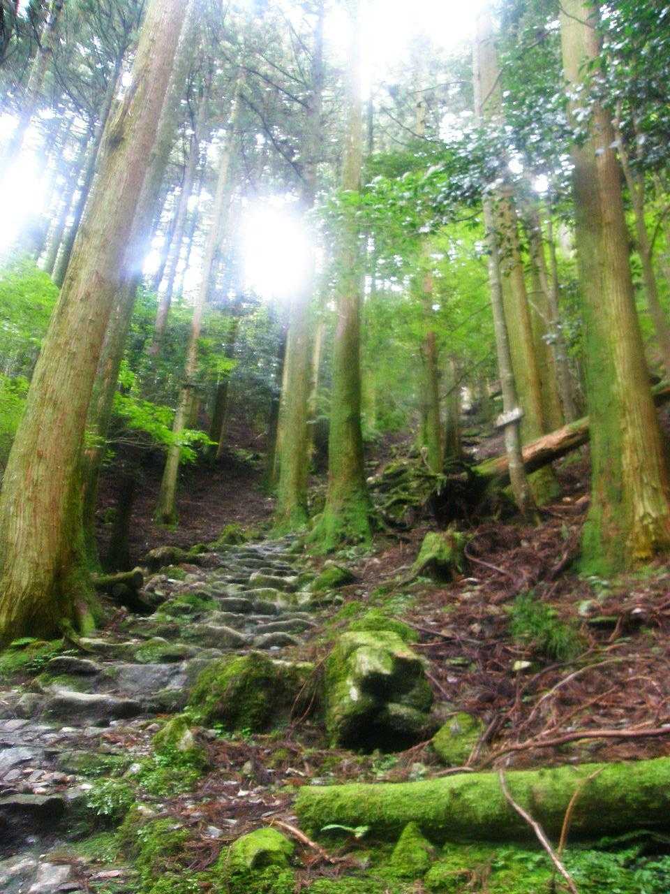 めためた気持ちイイ😺😺😺✨