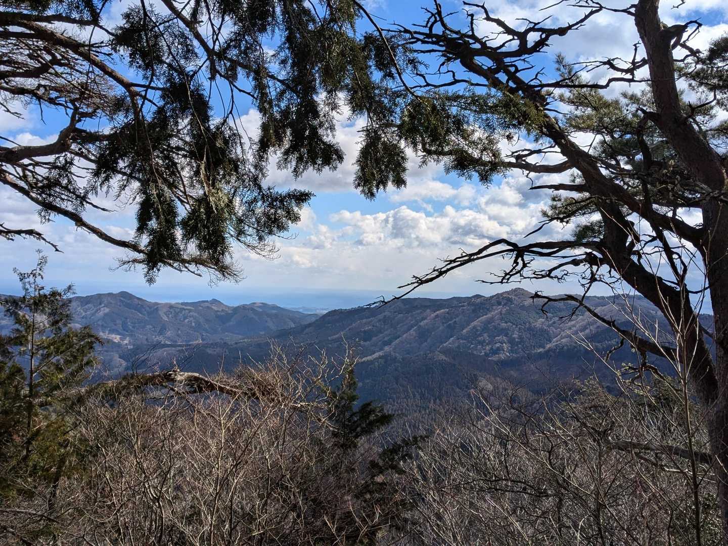 展望よ〜し👍