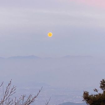 反対にはお月様
昨夜は満月🌕綺麗でした