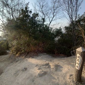 馬ノ背抜けて横尾山。怖すぎ二度と行くか…とこのときは思う(※なおすぐに忘れてまた同じようなとこ行く)