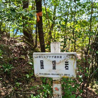 もう少し行ったポイント15で引き返す