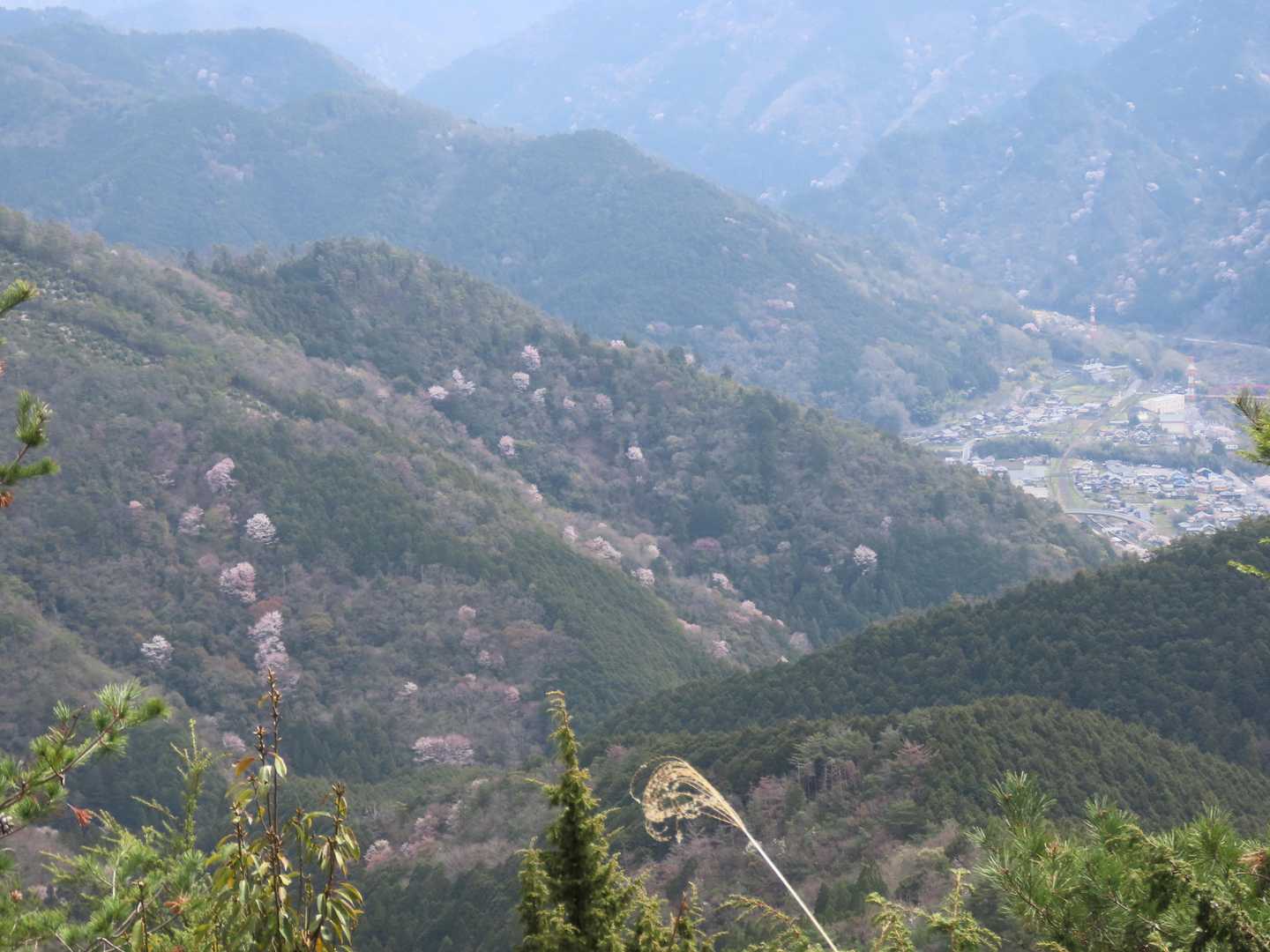 七宗の町かな