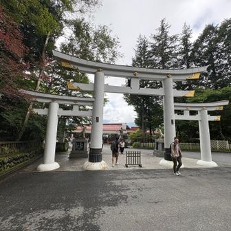 初めてみる
「三ツ鳥居」という

鳥居は参拝する人々だけのものではなく、
神さまのお通りになるゲートともいう

なれば、中央は神々のメインゲート
小さな二門は、あれにみえるご眷属のためのものか…