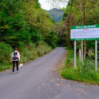 ちょっと登って