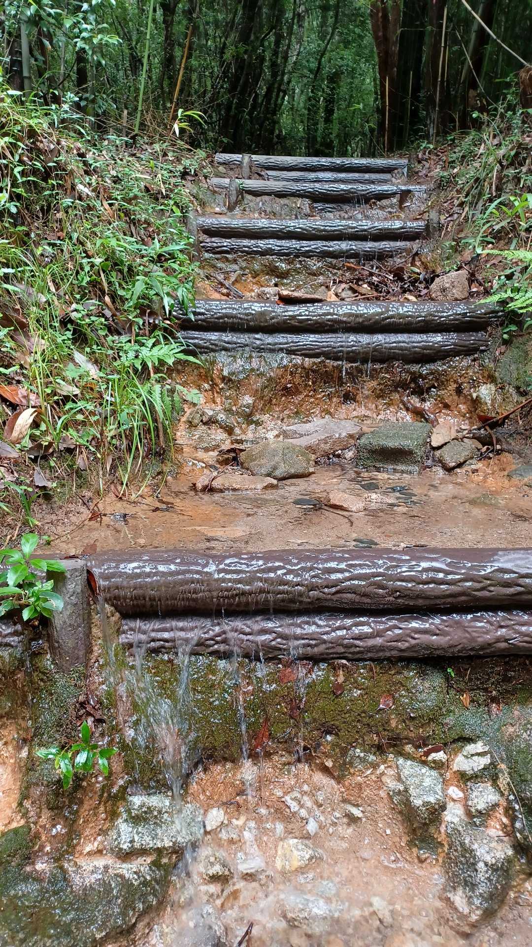 うへぇ💦　予想はしていたが､滝の様に流れる登山口😆