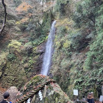 攣ったまま5キロほど降ってきて養老の滝
ココら1キロぐらいかなぁ、攣りながら走りますよ🤣