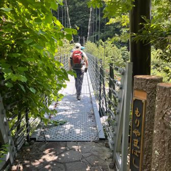 さようなら南アルプス