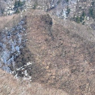 猫耳も溶け〜🪨

とか思う事もあるんだけど、やっぱり行きたかったとこ歩けた時の嬉しさったらないよね〜😊