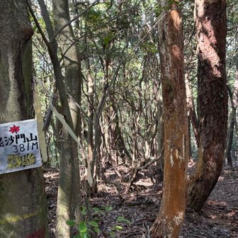 毘沙門山は通り道でした
アップダウンを繰り返し　
山科駅まで　とても長く感じましたわ
笑っていた膝が　怒り出してます

恒例の下山餃子🥟ビール🍺は　バイク🛵を置いているので私はパスです

疲れました😨💦