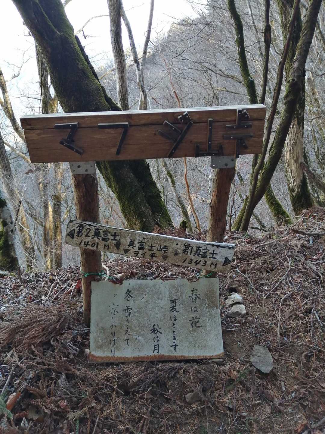 真富士神社-真富士山 往復コースの写真