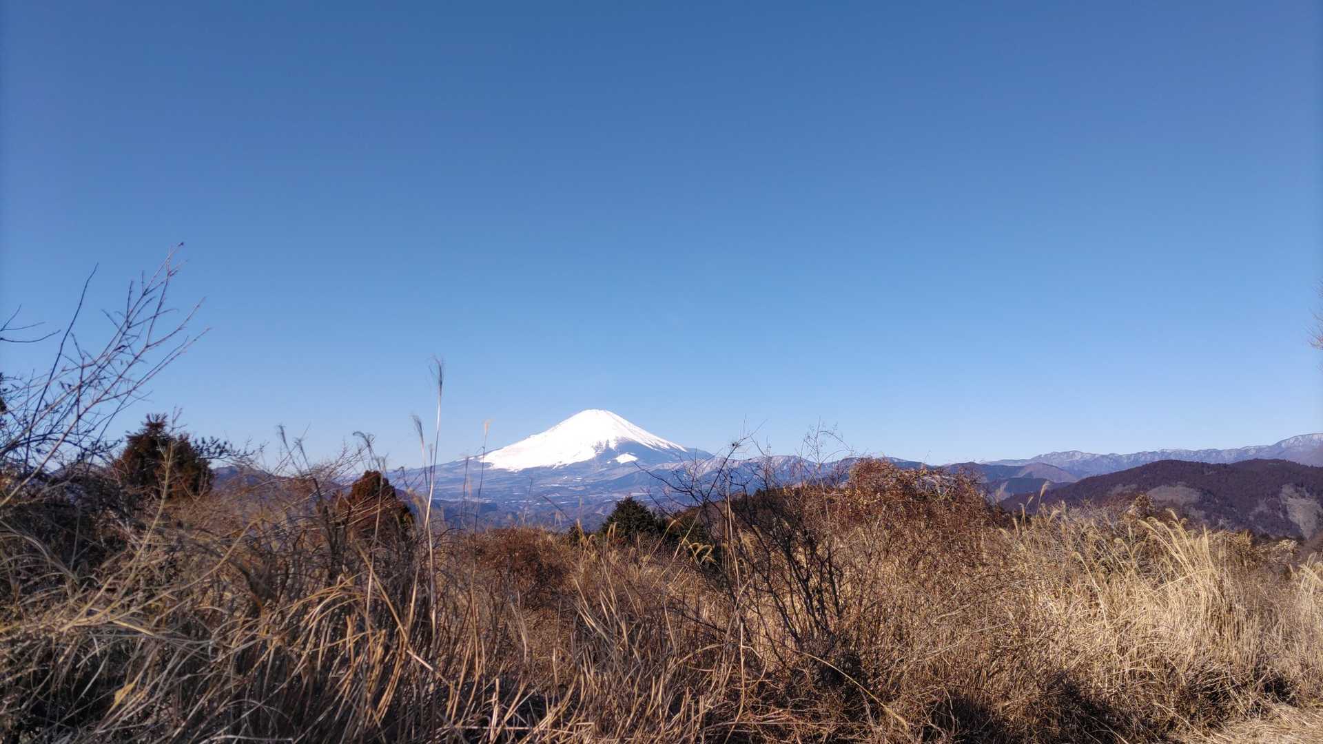 ここからの富士山も素敵🗻。
