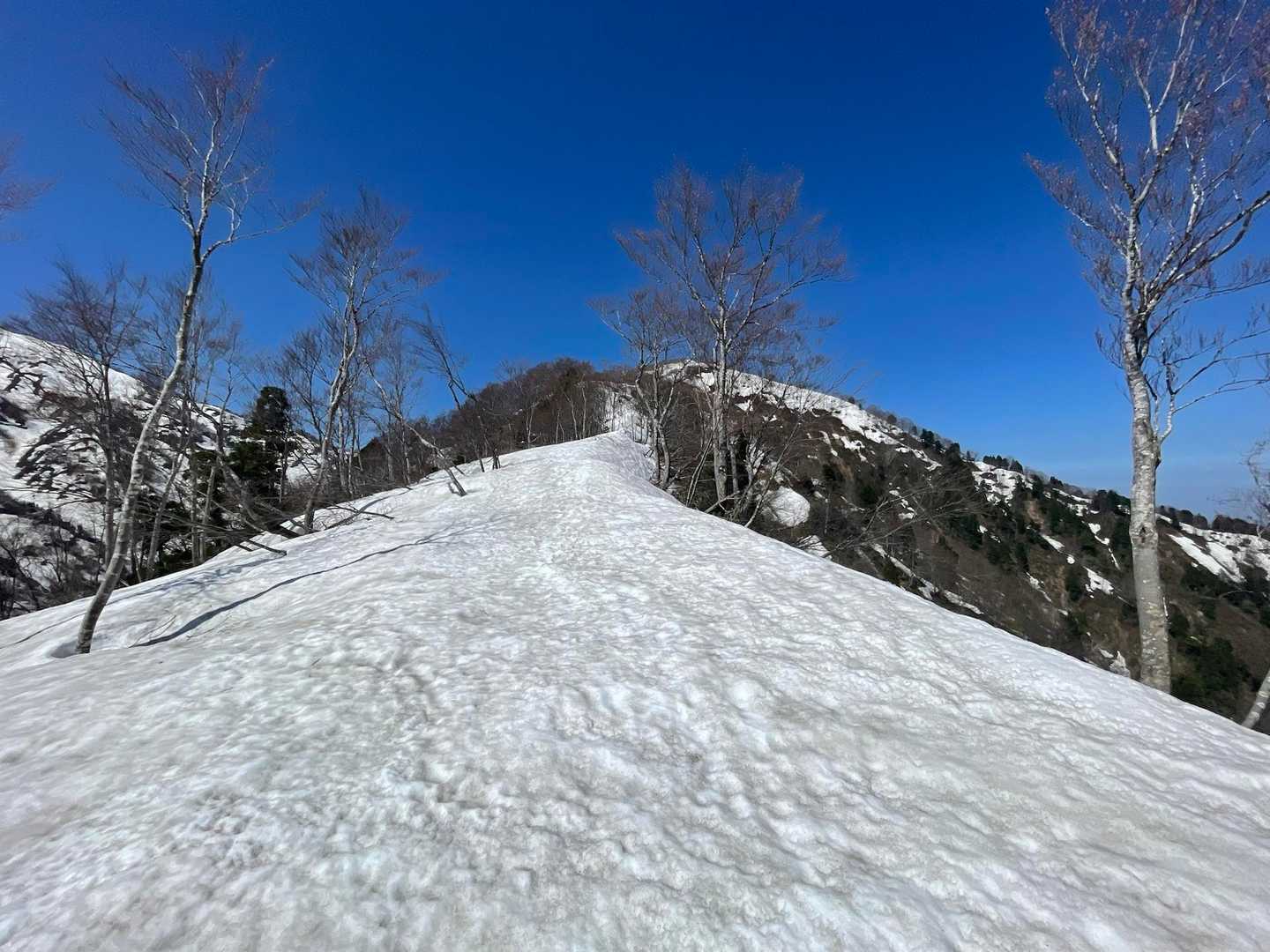 大熊山 往復コースの写真