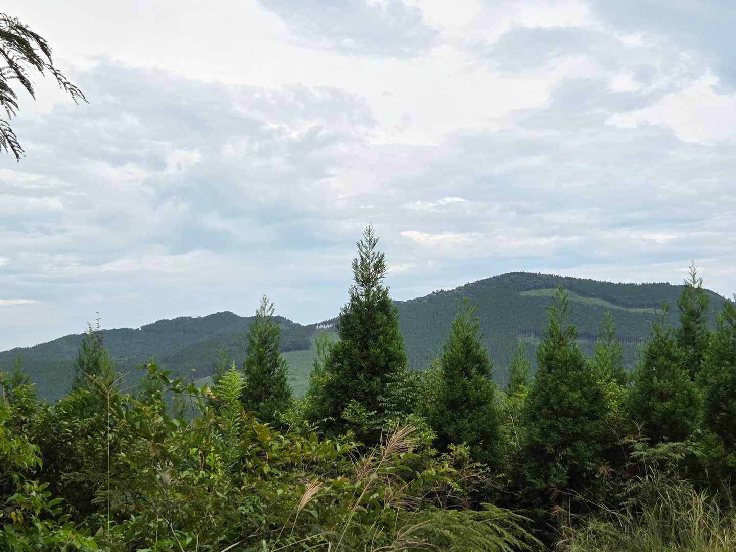 手軽なお山の荒平山と丸目岳