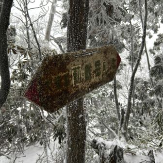 薊岳雌岳到着❗️