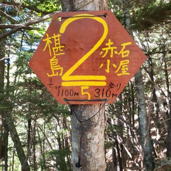 １/5は見当たらなかった、
2/5は違うスタイル
