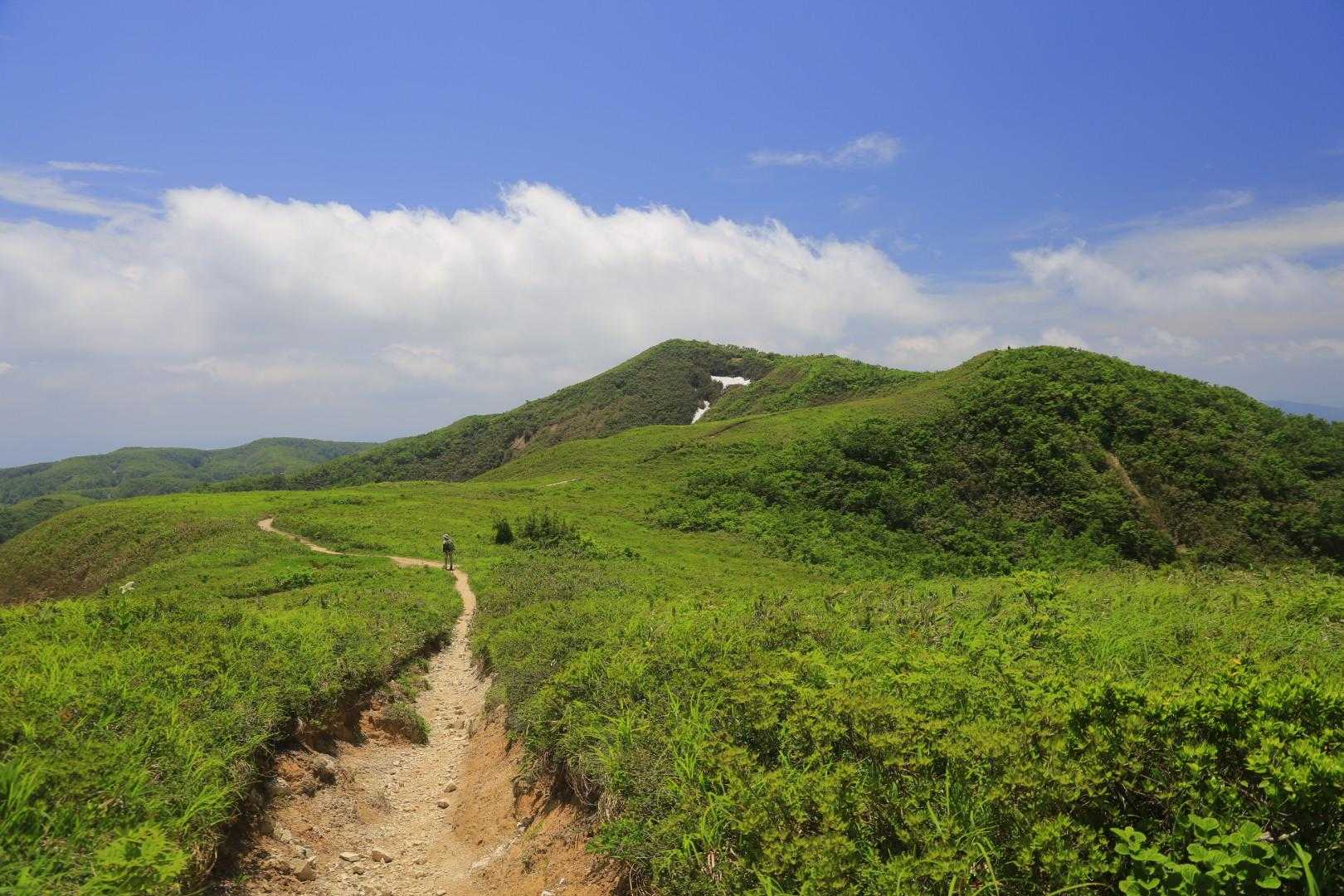 栃谷登山口-片折岳-奥金剛堂山 往復コースの写真
