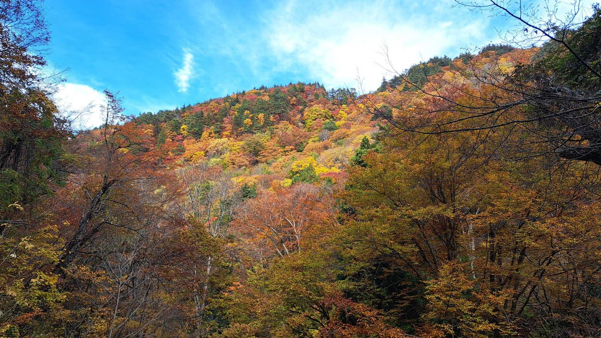 三沢山-面白山-中面白山 周回コースの写真