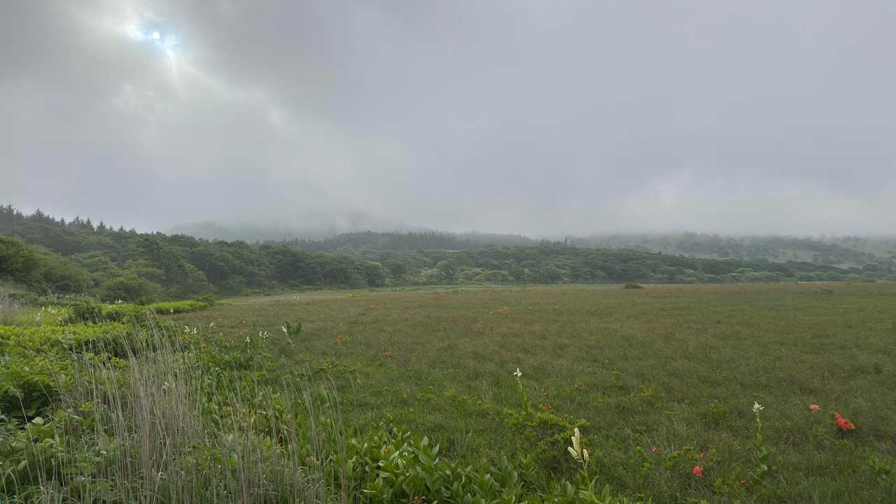 中央分水嶺トレイル（長門牧場〜白樺湖〜八島湿原〜三峰山〜美ヶ原）、2daysスルーハイク の写真 23