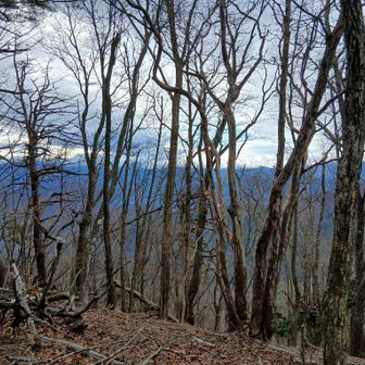 何を撮ろうと思ったのか思い出せない··