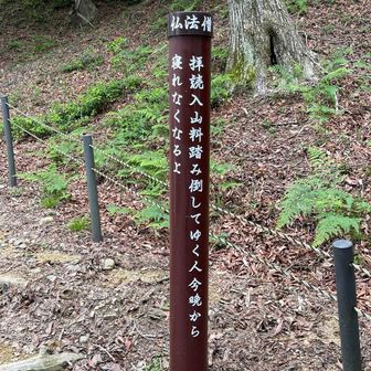 有料登山道