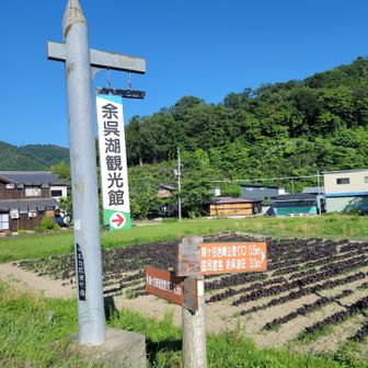 戻ってきたよー😊❗️