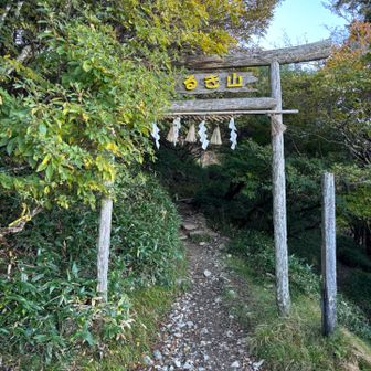 お邪魔します🙇