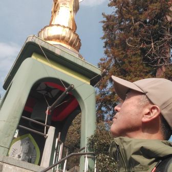 見上げる高さです🙄