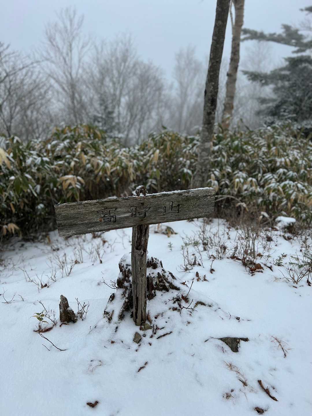 高時山の写真