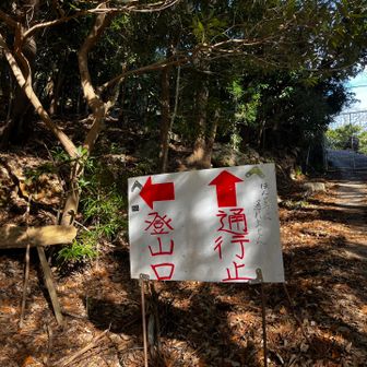 通行止め
本当に通れません

この辺りミカン畑が多いから獣害柵で囲まれてるから入ったら出れません。