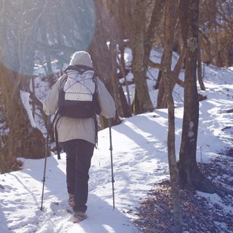 急登は無く登りやすい。