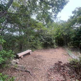 山頂
どこのピークもベンチが整備されてます