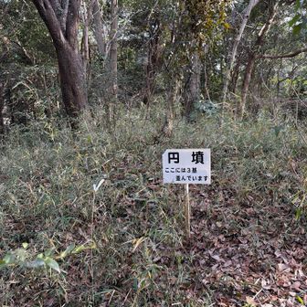 古墳がたくさんあります